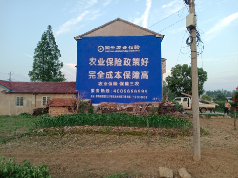 白河墙体广告为何受追捧？